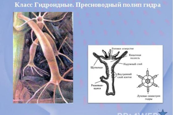 Кракен это современный даркнет
