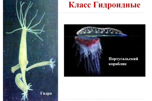 Даркнет сайт скачать
