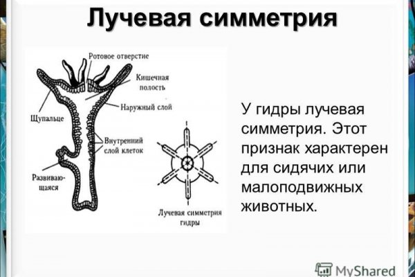 Зеркала на кракен kraken014 com