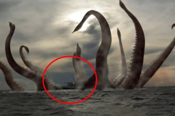 Kraken ссылка kraken link24 info