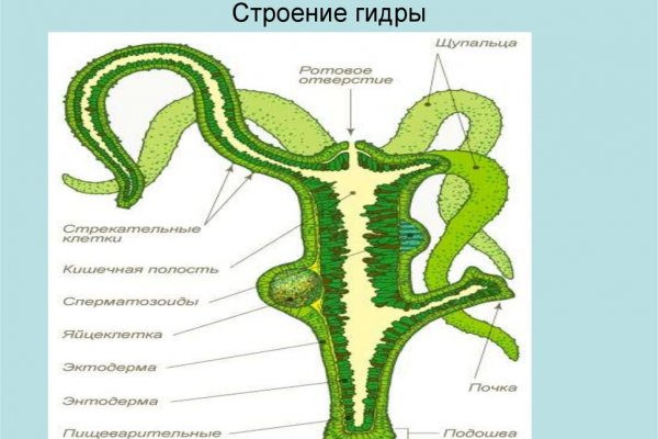 Как найти сайт кракен