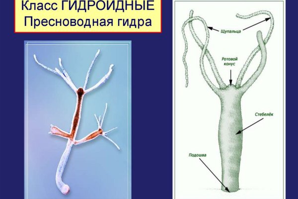 Что такое кракен площадка