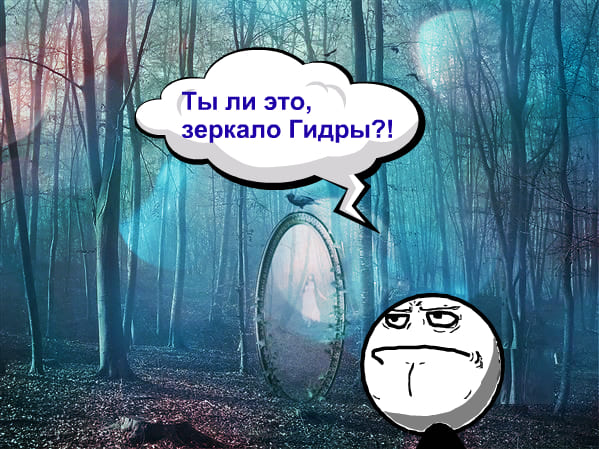 Что продает кракен